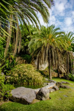 güzel doğası. Nerja, İspanya