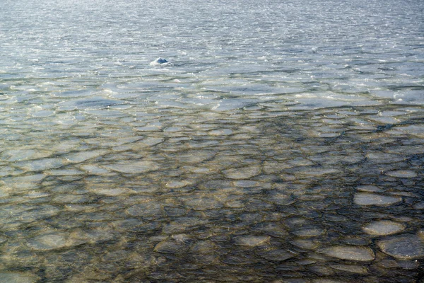 Млинець льоду — стокове фото