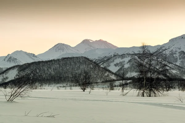 View of Nalychevo Nature Park — Stock Photo, Image