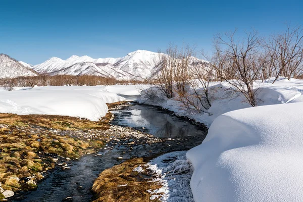 Hot spring in the Nalichevo National Park — Stock Photo, Image