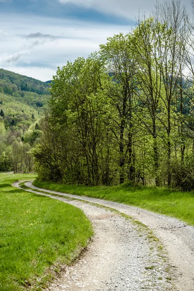 Pittoreske landschap met weg. Slowakije — Stockfoto
