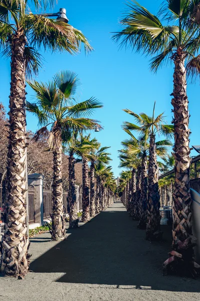 Lege steegje. De stad Malaga, Spanje — Stockfoto