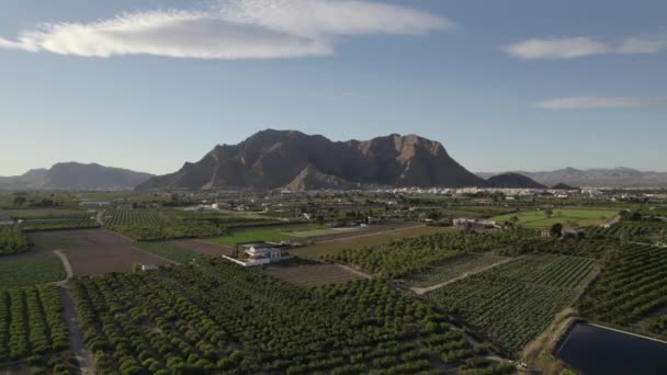 Luchtfoto Callosa Segura Stad Landbouwgronden Drone Standpunt Spaans Dorp Gelegen — Stockvideo