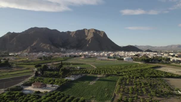 空中ショットCallosa Segura町や農地 巨大なシエラ Callosa岩の山の麓に位置するビュースペインの村のドローンポイント オリウエラの北西 アリカンテ県 スペイン — ストック動画