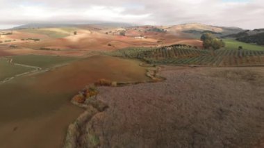 Hava görüntüsü, insansız hava aracı görüntüsü güneşli bir kış günü gökyüzü arka planında ekilmiş topraklar, yukarıdan görüş. Tarım arazileri, tarım arazileri. Avrupa, İspanya