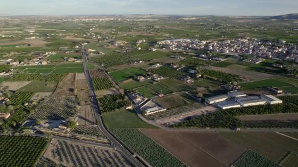 Drone Point View Farmlands Meadows Cultivated Lands View Spain — Stok video