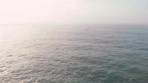 Aerial Panoramautsikt Horisont Över Atlanten Flygande Mås Och Ponta Piedade — Stockvideo