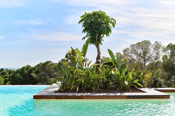 Özel Yüzme Havuzu Iyi Bakımlı Tropik Yemyeşil Ağaçlar Mavi Bulutlu — Stok fotoğraf