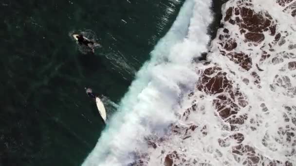 Přímo Nad Leteckým Drone Hlediska Skupina Mladých Surfařů Vychutnat Extrémní — Stock video