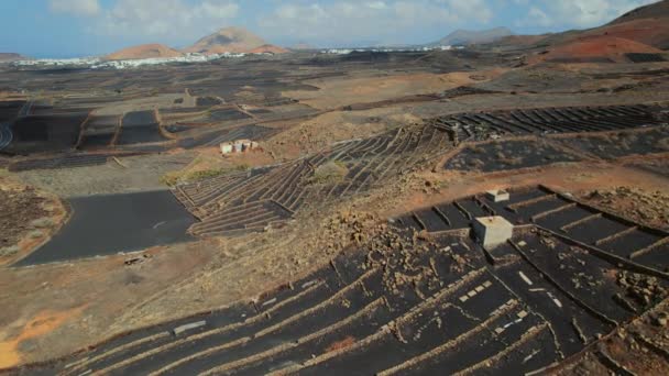 Parque Nacional Timanfaya Paisagem Vulcânica Com Campos Agrícolas — Vídeo de Stock