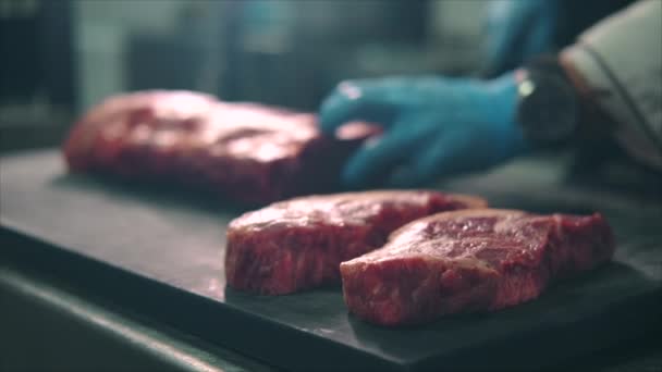 Unknown Male Chef Hands Gloves Holds Knife Cutting Raw Beef — Video