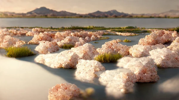Αλατούχο Διάλυμα Λίμνη Σωρό Από Φυσικό Ροζ Αλάτι Αφηρημένο Φόντο — Φωτογραφία Αρχείου