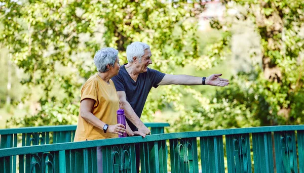 Attractive Middle Aged Old Couple Wife Husband Enjoy Walk Communication — Stock Photo, Image