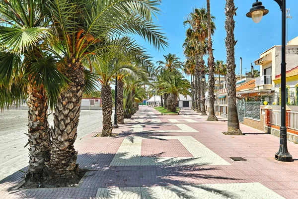 Praia Areia Com Palmeiras Vista Para Mar Mediterrâneo San Pedro — Fotografia de Stock