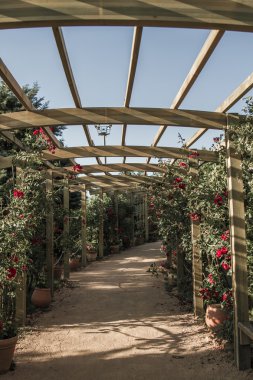 ahşap pergola