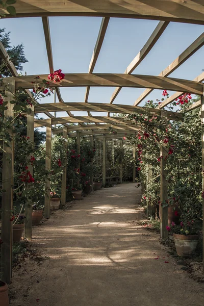 Pérgola de madeira — Fotografia de Stock