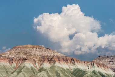 Nallıhan kuş cenneti