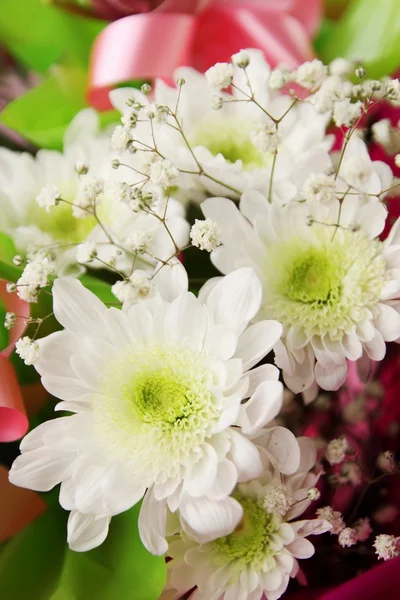 Boeket chrysant — Stockfoto