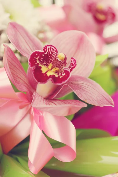 Pink orchid — Stock Photo, Image