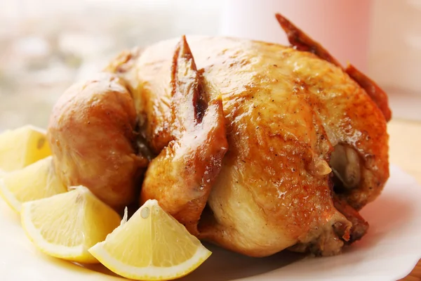 Pollo rubicondo — Foto Stock