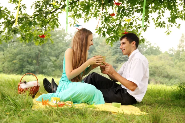 Gift on a picnic — Stock Photo, Image