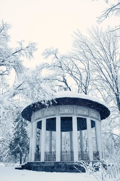 Arbor Hanedanı branicki — Stok fotoğraf