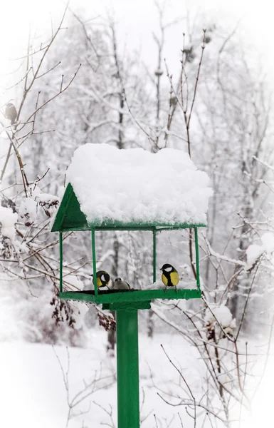 Bird feeders — Stock Photo, Image