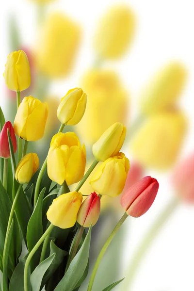 Bouquet of tulips, copy space — Stock Photo, Image