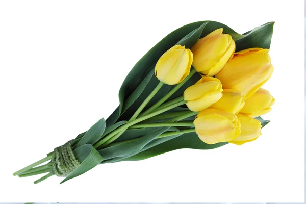 Bouquet of yellow tulips — Stock Photo, Image