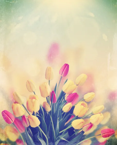 Bouquet di tulipani, vintage — Foto Stock