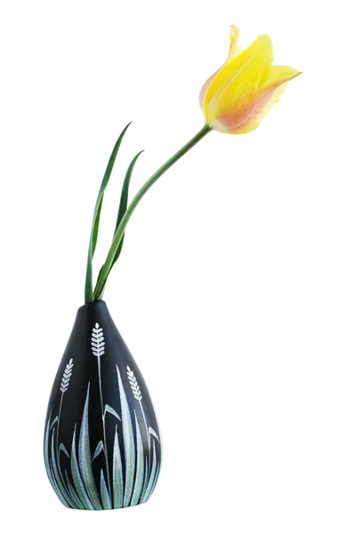 Tulipa em um vaso — Fotografia de Stock