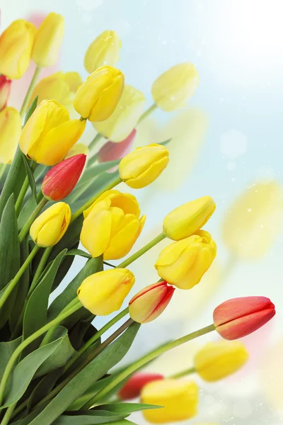 Karta bukiet tulipan — Zdjęcie stockowe
