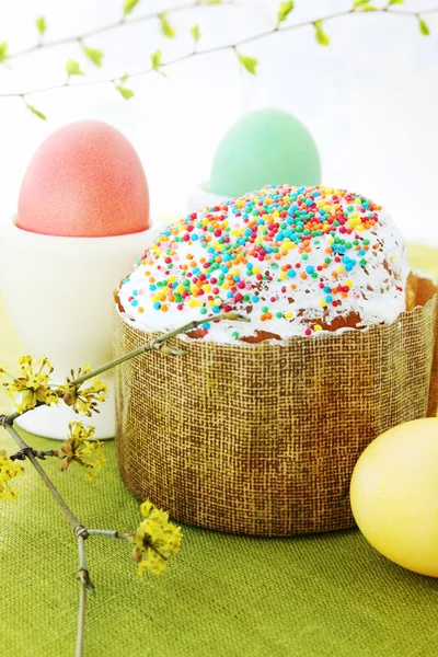 Cake with a blossoming branch — Stock Photo, Image