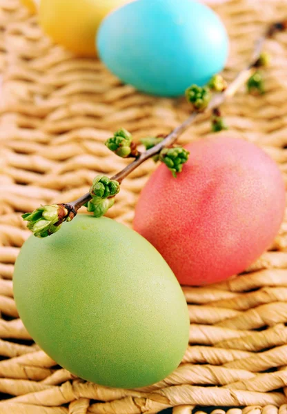 Easter eggs with cherry branch — Stock Photo, Image