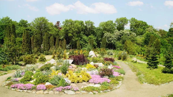 Alpine garden — Stock Photo, Image