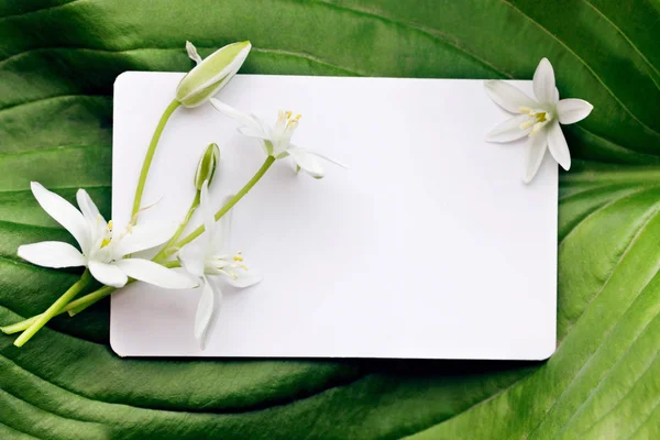 Cartão de felicitações e flores — Fotografia de Stock