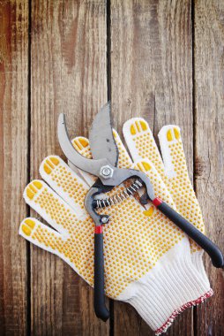 Bahçe eldiven ve secateurs