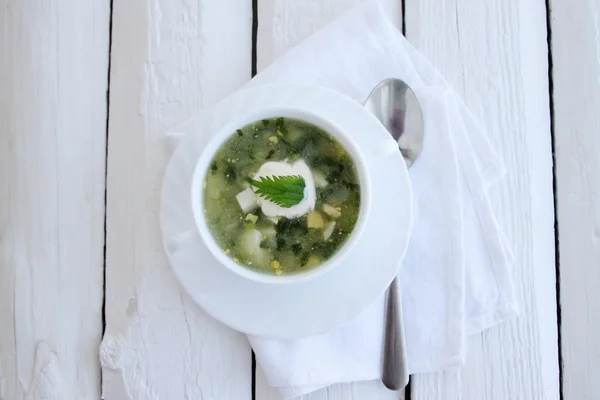 Green soup on white — Stockfoto