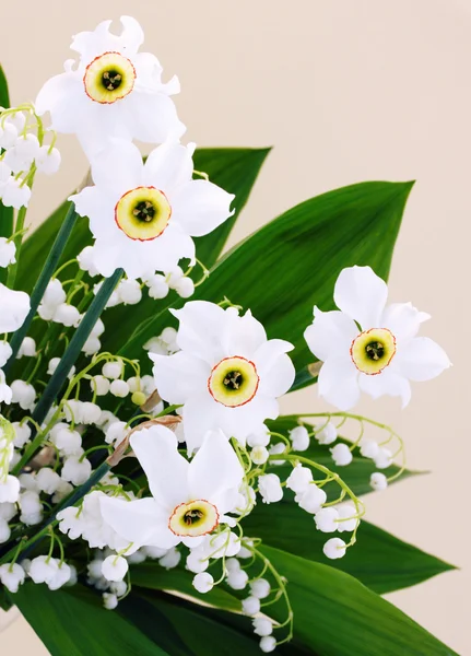 水仙の春の花束 — ストック写真