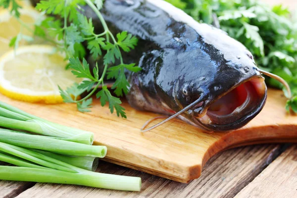 Catfish with greens — Stock Photo, Image