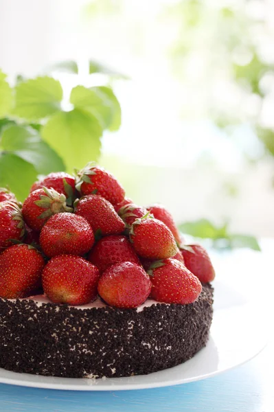 Kuchen mit Beeren — Stockfoto