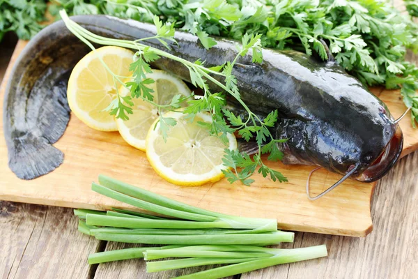 River catfish with greens — Stock Photo, Image