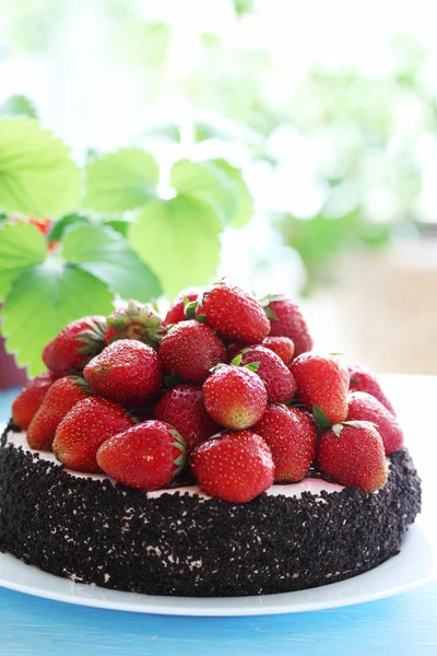 Kuchen mit Erdbeere — Stockfoto