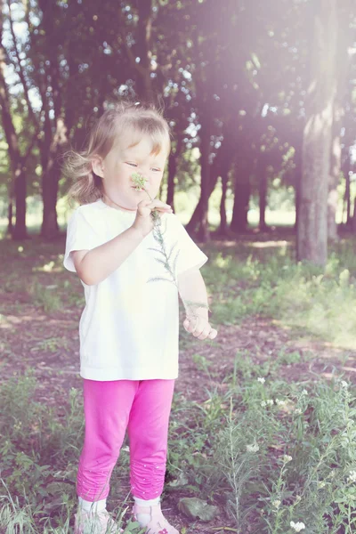 Маленька дівчинка пахне квіткою — стокове фото