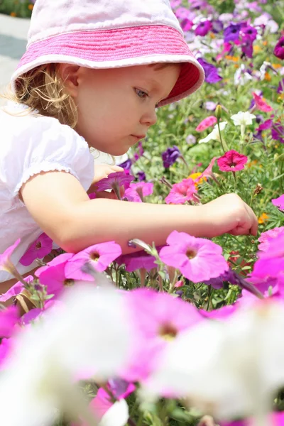 Meisje en petunia — Stockfoto