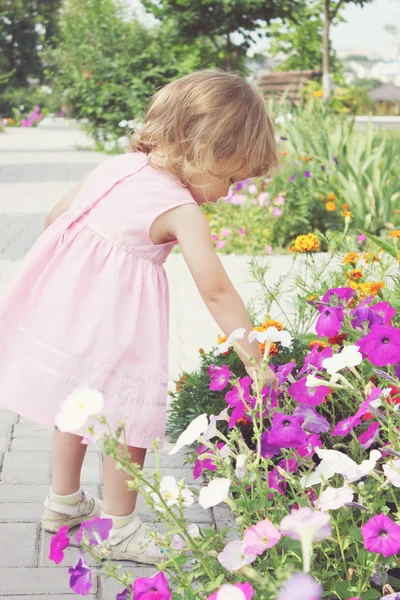 Дівчина збирати квіти — стокове фото