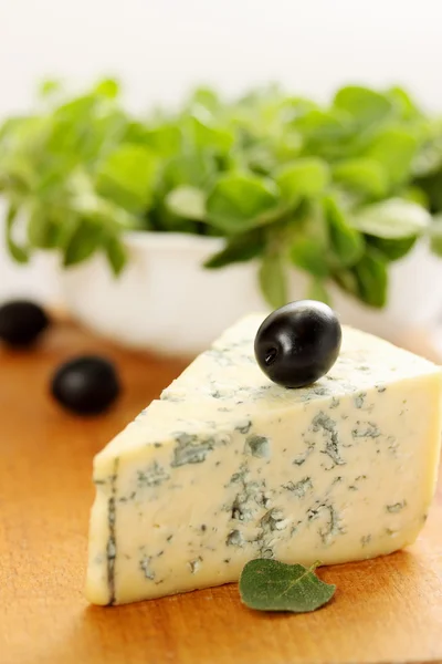 Сир, оливки та орегано — стокове фото
