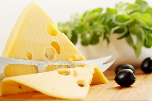 Сократить швейцарский сыр — стоковое фото