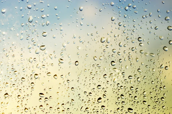 Drops on the glass — Stock Photo, Image