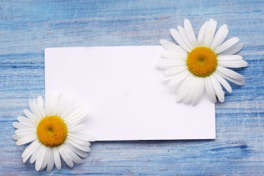 papatyalar üzerinde kurulu bir Mavi kart ile